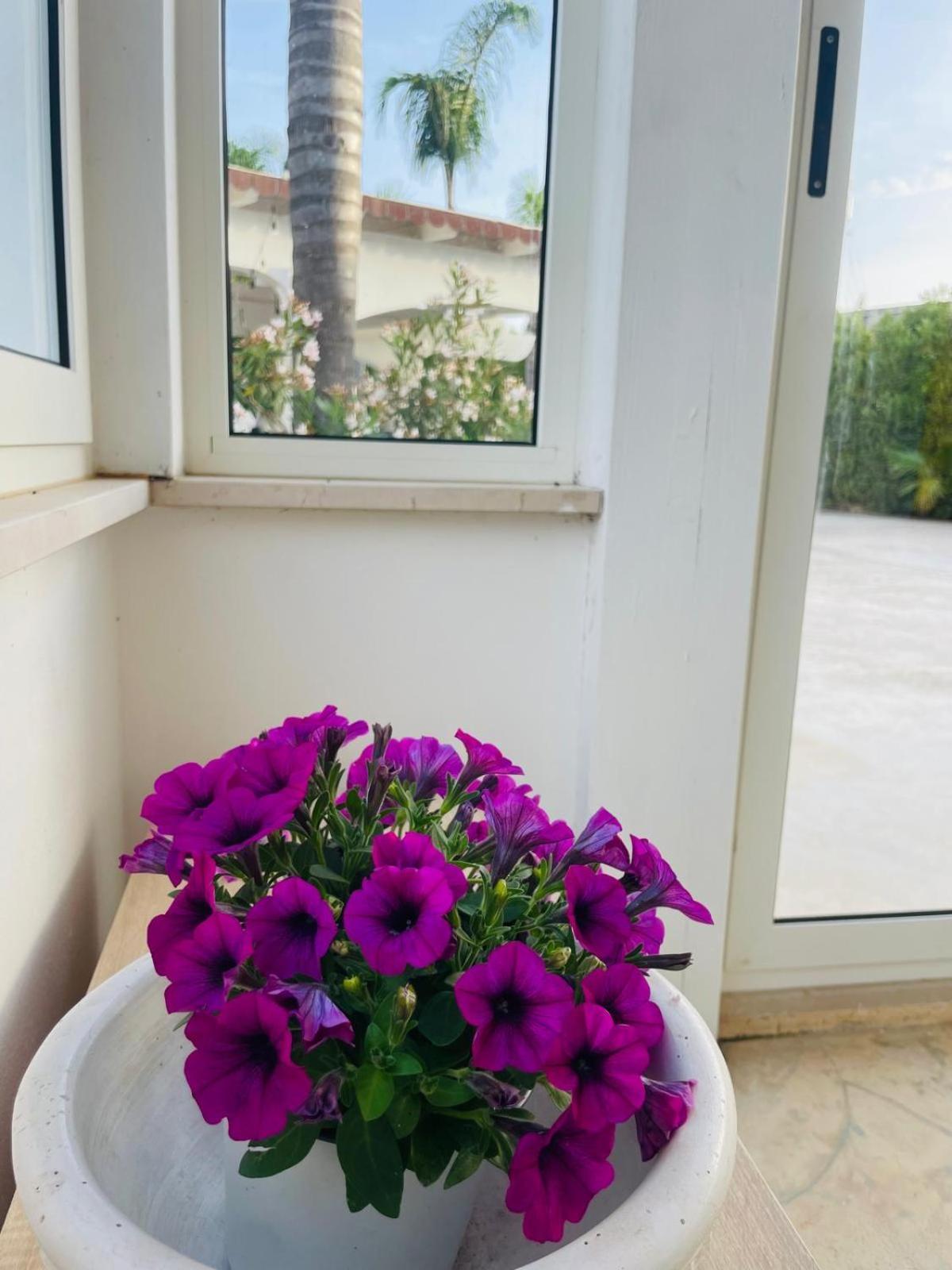 Pupillo Casa Vacanza Villa Francavilla Fontana Ngoại thất bức ảnh